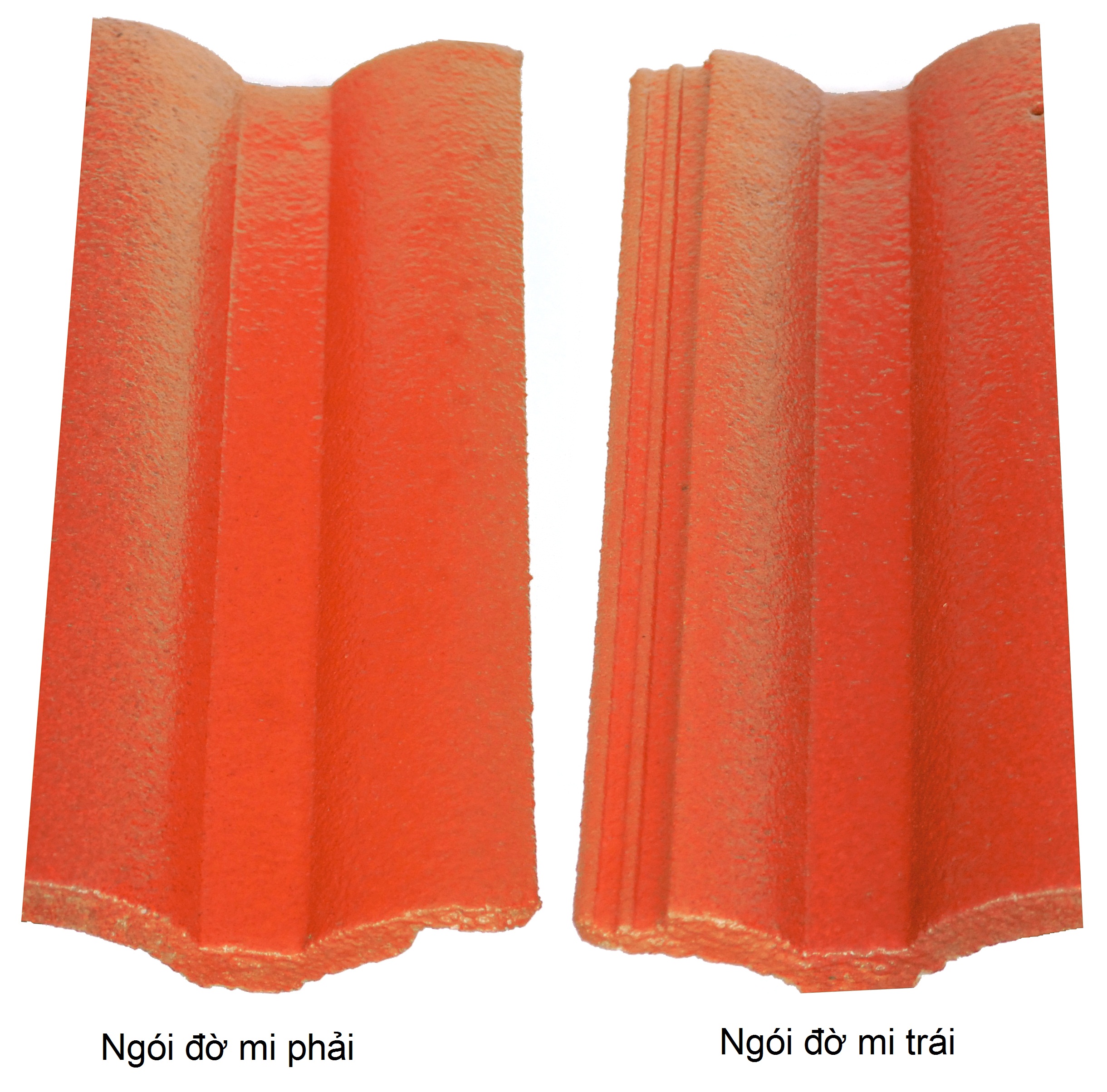 ngói đờ mi